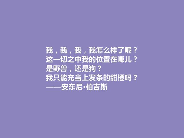 英国小说家，安东尼·伯吉斯格言，深邃宏阔，暗含人类大智慧