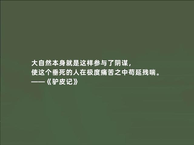 巴尔扎克小说《驴皮记》，哲学意义强烈，这话，充满启迪作用