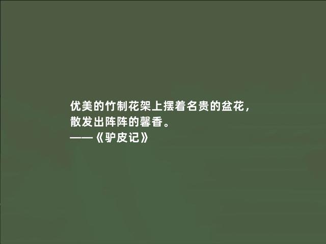 巴尔扎克小说《驴皮记》，哲学意义强烈，这话，充满启迪作用