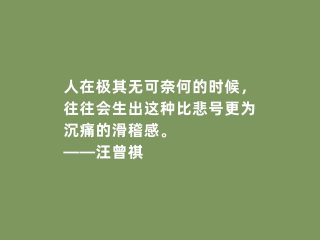 当代小说家，汪曾祺格言，质朴又极具深意，批判性强烈