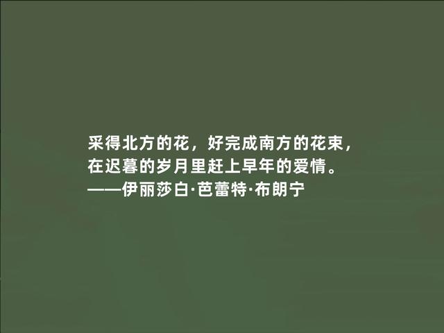 英国顽强女诗人，布朗宁诗话，才气十足，极具现实意义