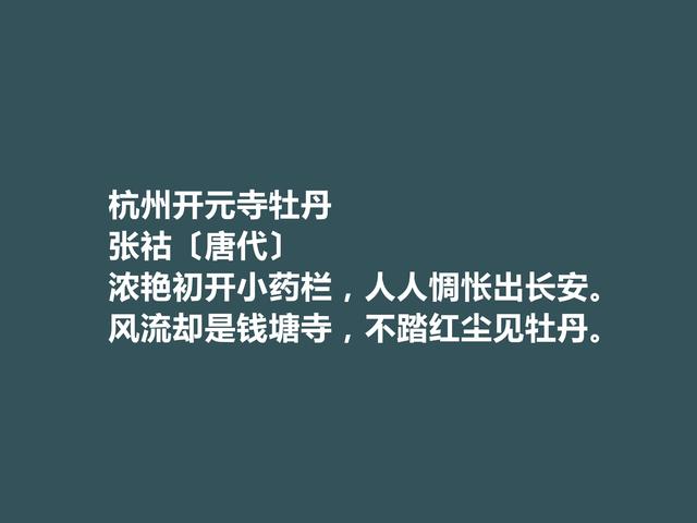 中晚唐著名诗人，张祜诗，个人特色鲜明，彰显人格魅力