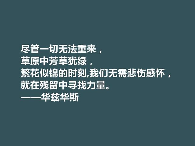 英国浪漫主义诗人，华兹华斯诗，直击人类心灵，读完净化内心