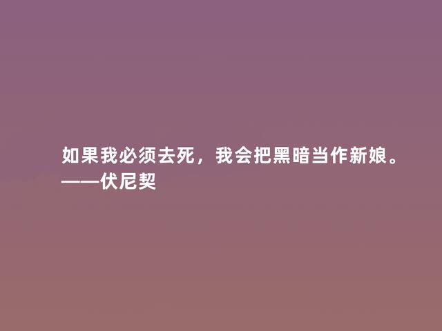 爱尔兰女作家，伏尼契话，细腻又犀利，彰显大师风范