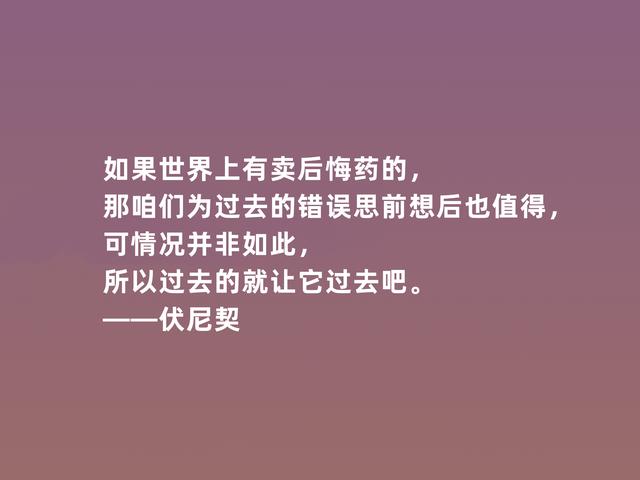 爱尔兰女作家，伏尼契话，细腻又犀利，彰显大师风范