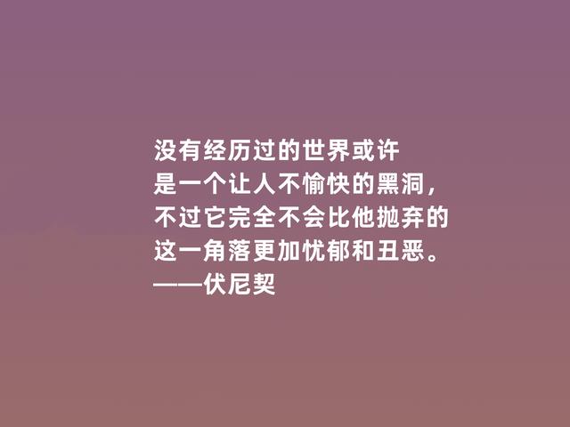 爱尔兰女作家，伏尼契话，细腻又犀利，彰显大师风范