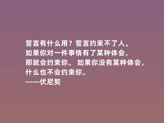 爱尔兰女作家，伏尼契话，细腻又犀利，彰显大师风范