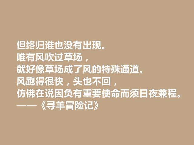 村上春树早期小说，《寻羊冒险记》格言，寓意深刻，引人深思