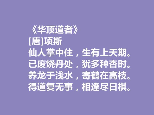 晚唐著名诗人，因一则典故闻名天下，项斯十首诗，批判意义真强烈