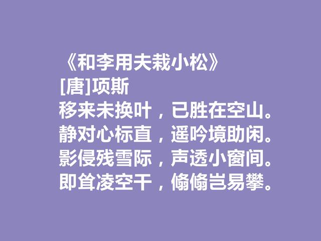 晚唐著名诗人，因一则典故闻名天下，项斯十首诗，批判意义真强烈