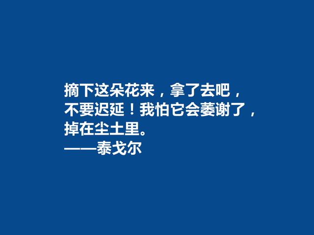 印度伟大诗人，泰戈尔十句诗，读完振奋人心，深悟后能够净化心灵