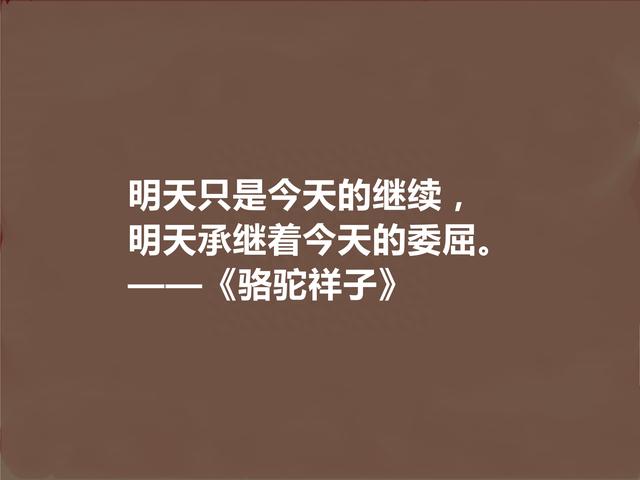 伟大语言大师，老舍名作《骆驼祥子》十句话，京味十足又警示世人