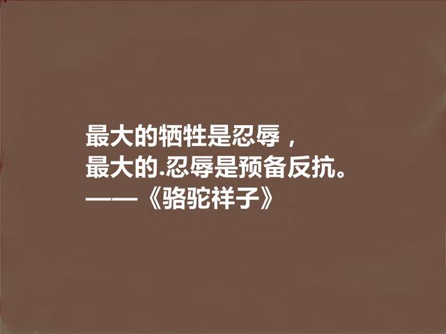 伟大语言大师，老舍名作《骆驼祥子》十句话，京味十足又警示世人