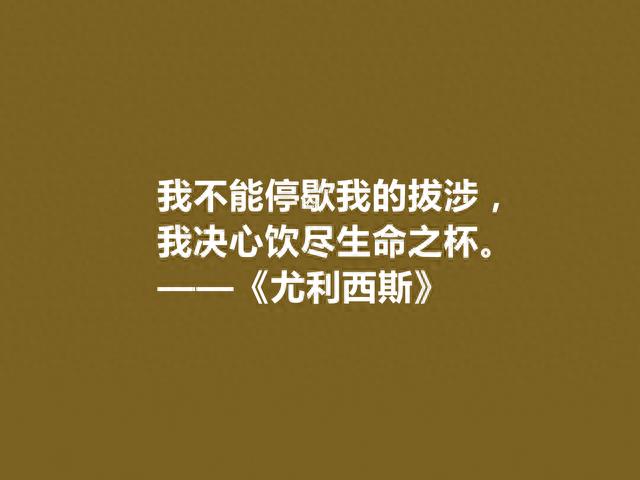 爱尔兰作家乔伊斯，小说《尤利西斯》十句话，象征意义深刻，精湛