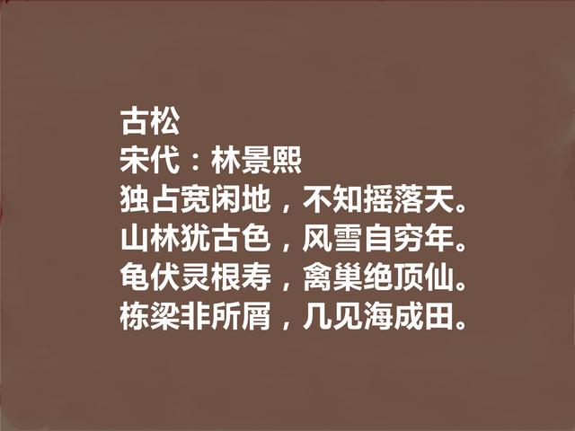 南宋遗民诗人代表，林景熙十首诗，悲愤情怀浓烈，细品真回味无穷