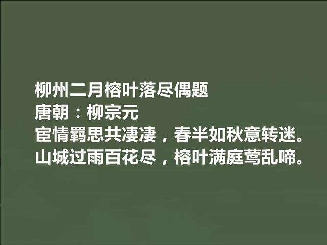 唐朝中期诗人，柳宗元十首诗，极具哲学意味，山水诗让人赞不绝口